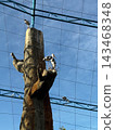 Storks resting on a tree inside a large outdoor aviary enclosure 143468348