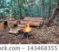 Campfire in the forest 143468355