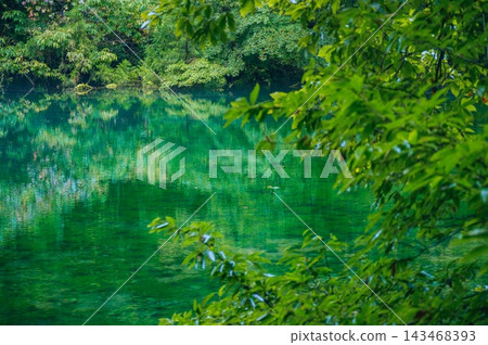 龍久坊池【中尾沼郡津南町】 龍久坊池【中尾沼郡津南町】 143468393