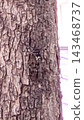 Aburasemi 143468737