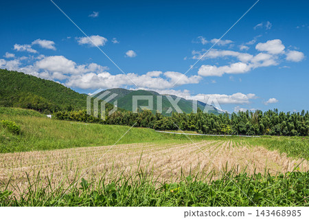Ikadachi Rice Terraces, a scenic spot in the western part of Lake Biwa, Otsu City, Shiga Prefecture Ikadachi Rice Terraces, a scenic spot in the western part of Lake Biwa, Otsu City, Shiga Prefecture 143468985