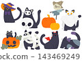 Halloween Black Cat Set 143469249