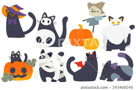 Halloween Black Cat Set Halloween Black Cat Set 143469249
