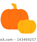 Orange and yellow pumpkins 143469257