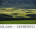 Old abandoned house in the green rolling hills of Iceland 143469431