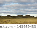 Moss covered volcanic landscape at Eldhraun lava field Iceland 143469433