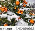 A Christmas and New Year tree stands decorated with orange ornaments, surrounded by fresh snow in a winter landscape 143469668