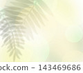 背景圖片中陽光照射進來，投下棕櫚葉的陰影。 143469686
