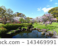 Springtime at the Fujita Residence Ruins Park 143469991