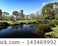 Springtime at the Fujita Residence Ruins Park 143469992