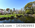 Springtime at the Fujita Residence Ruins Park 143469993