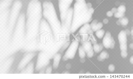Abstract blurred palm shadow overlay with dappled light texture on white background. Abstract blurred palm shadow overlay with dappled light texture on white background. 143470244