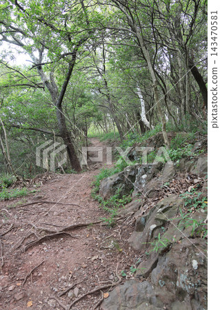 屋島南峰山頂附近的山路 屋島南峰山頂附近的山路 143470581