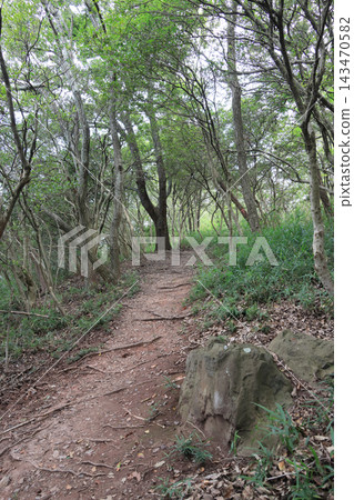 屋島南峰山頂附近的山路 屋島南峰山頂附近的山路 143470582