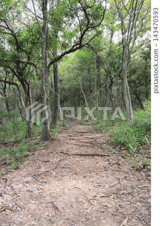 屋島南峰山頂附近的山路 屋島南峰山頂附近的山路 143470593