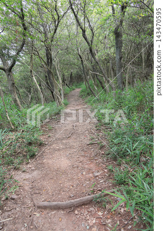 屋島南峰山頂附近的山路 143470595