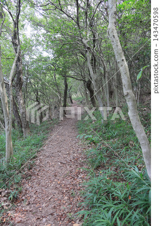 屋島南峰山頂附近的山路 屋島南峰山頂附近的山路 143470598