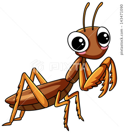 Cute Brown Praying Mantis Vector Illustration Isolated on White Background Cute Brown Praying Mantis Vector Illustration Isolated on White Background 143471090