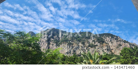 green trees on the mountain green trees on the mountain 143471460