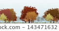 golden colours of autumn park trees 143471632