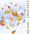 golden season of autumn leaves background 143471633