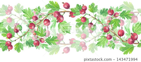 Lush watercolor red gooseberry seamless pattern border design with leaves. Isolated horizontal repeating frame element for sweet food jam packaging 143471994