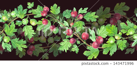 Lush watercolor gooseberry seamless pattern border on dark background. Horizontal repeating frame element with red berries and foliage for beverage packaging art Lush watercolor gooseberry seamless pattern border on dark background. Horizontal repeating frame element with red berries and foliage for beverage packaging art 143471996