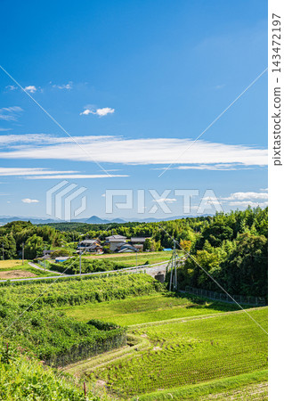 Ikadachi Rice Terraces, a scenic spot in the western part of Lake Biwa, Otsu City, Shiga Prefecture Ikadachi Rice Terraces, a scenic spot in the western part of Lake Biwa, Otsu City, Shiga Prefecture 143472197