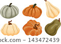 set of different pumpkins of different sizes and different colors, vector	 143472439