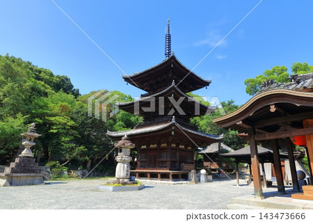【愛媛縣】四國朝聖地第51號:熊野山國藏石手寺(三重塔和正殿) 【愛媛縣】四國朝聖地第51號:熊野山國藏石手寺(三重塔和正殿) 143473666