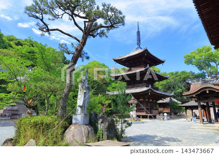 【愛媛縣】四國朝聖地第51號:熊野山國藏石手寺(三重塔和正殿) 【愛媛縣】四國朝聖地第51號:熊野山國藏石手寺(三重塔和正殿) 143473667