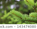 藥用植物指南 143474080