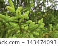 藥用植物指南 143474093