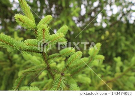 藥用植物指南 143474093