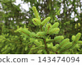 藥用植物指南 143474094