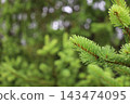 藥用植物指南 143474095