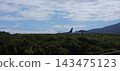 Airplane on the runway 143475123