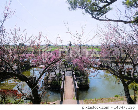 從濱田綿巳神社眺望真司池公園和梅樹 從濱田綿巳神社眺望真司池公園和梅樹 143475156