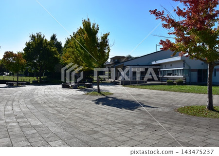 神奈川縣茅崎市:神奈川縣立茅崎里山公園中心,樹木開始變色。 神奈川縣茅崎市:神奈川縣立茅崎里山公園中心,樹木開始變色。 143475237