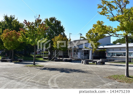 Kanagawa Prefecture, Chigasaki City: Kanagawa Prefectural Chigasaki Satoyama Park Park Center and trees beginning to change color. Kanagawa Prefecture, Chigasaki City: Kanagawa Prefectural Chigasaki Satoyama Park Park Center and trees beginning to change color. 143475239