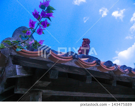 A lone Shisa statue, bougainvillea, and blue sky on the roof of an old house on Taketomi Island. A lone Shisa statue, bougainvillea, and blue sky on the roof of an old house on Taketomi Island. 143475889