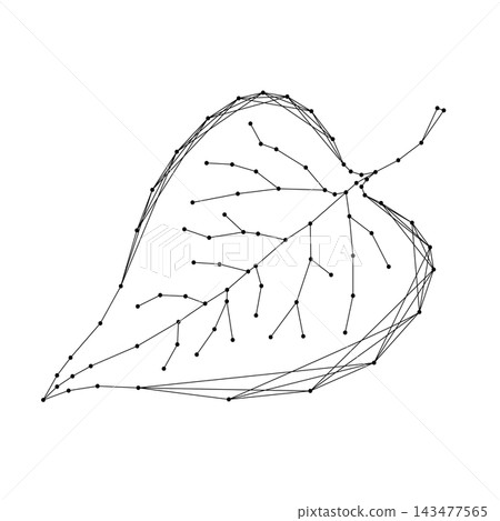 leaf of plant from abstract futuristic polygonal black lines and dots, concept of prosperous ecology leaf of plant from abstract futuristic polygonal black lines and dots, concept of prosperous ecology 143477565