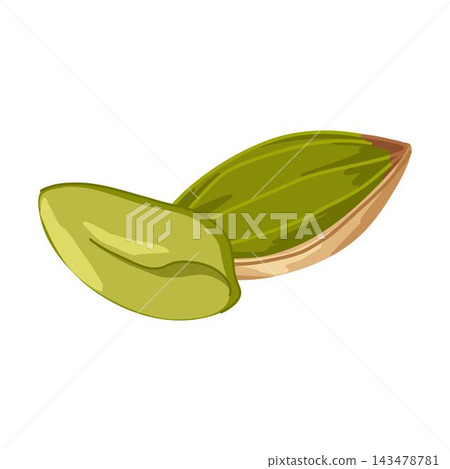 Pistachios vector composition with shelled and whole nuts. Hand drawn cartoon illustration for snack branding, healthy food packaging, menu visuals, stickers, apps Pistachios vector composition with shelled and whole nuts. Hand drawn cartoon illustration for snack branding, healthy food packaging, menu visuals, stickers, apps 143478781