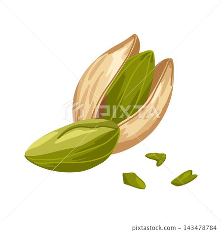 Vector composition of assorted pistachios. Closed, opened, broken, crushed nuts. Hand drawn illustration for food product design, packaging, menu graphics, promo visuals, healthy apps 143478784