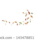 Falling Autumn Oak Leaves Illustration 143478851