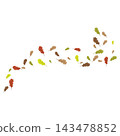 Falling Autumn Oak Leaves Illustration 143478852