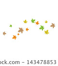 Falling Autumn Oak Leaves Illustration 143478853