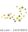 Falling Autumn Oak Leaves Illustration 143478854