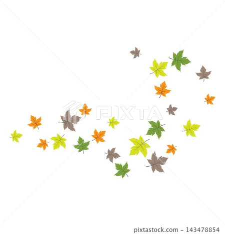 Falling Autumn Oak Leaves Illustration Falling Autumn Oak Leaves Illustration 143478854
