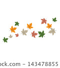 Falling Autumn Oak Leaves Illustration 143478855